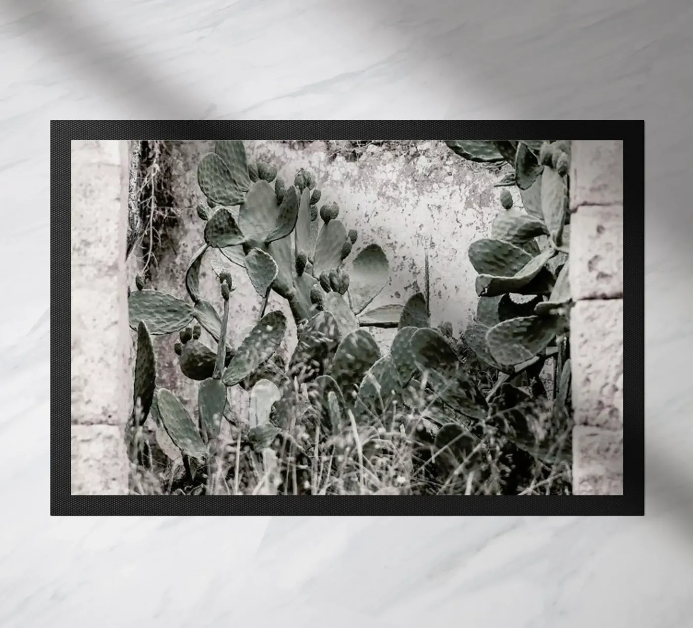 Nature Rules zerbino da Shot By Clint