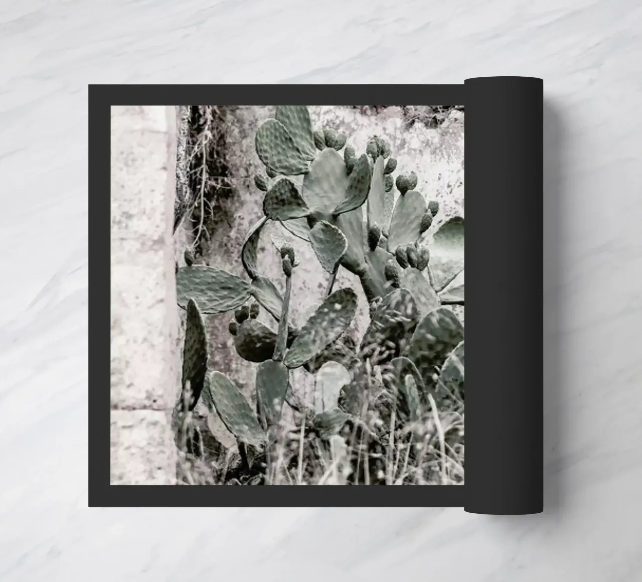 Nature Rules zerbino da Shot By Clint