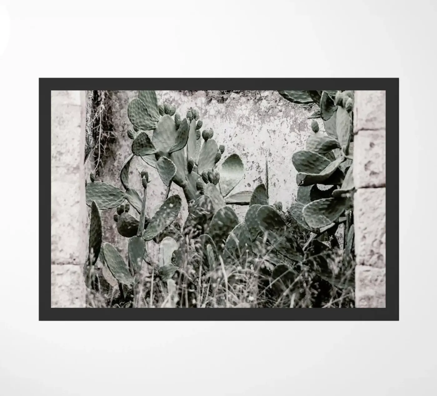 Nature Rules zerbino da Shot By Clint