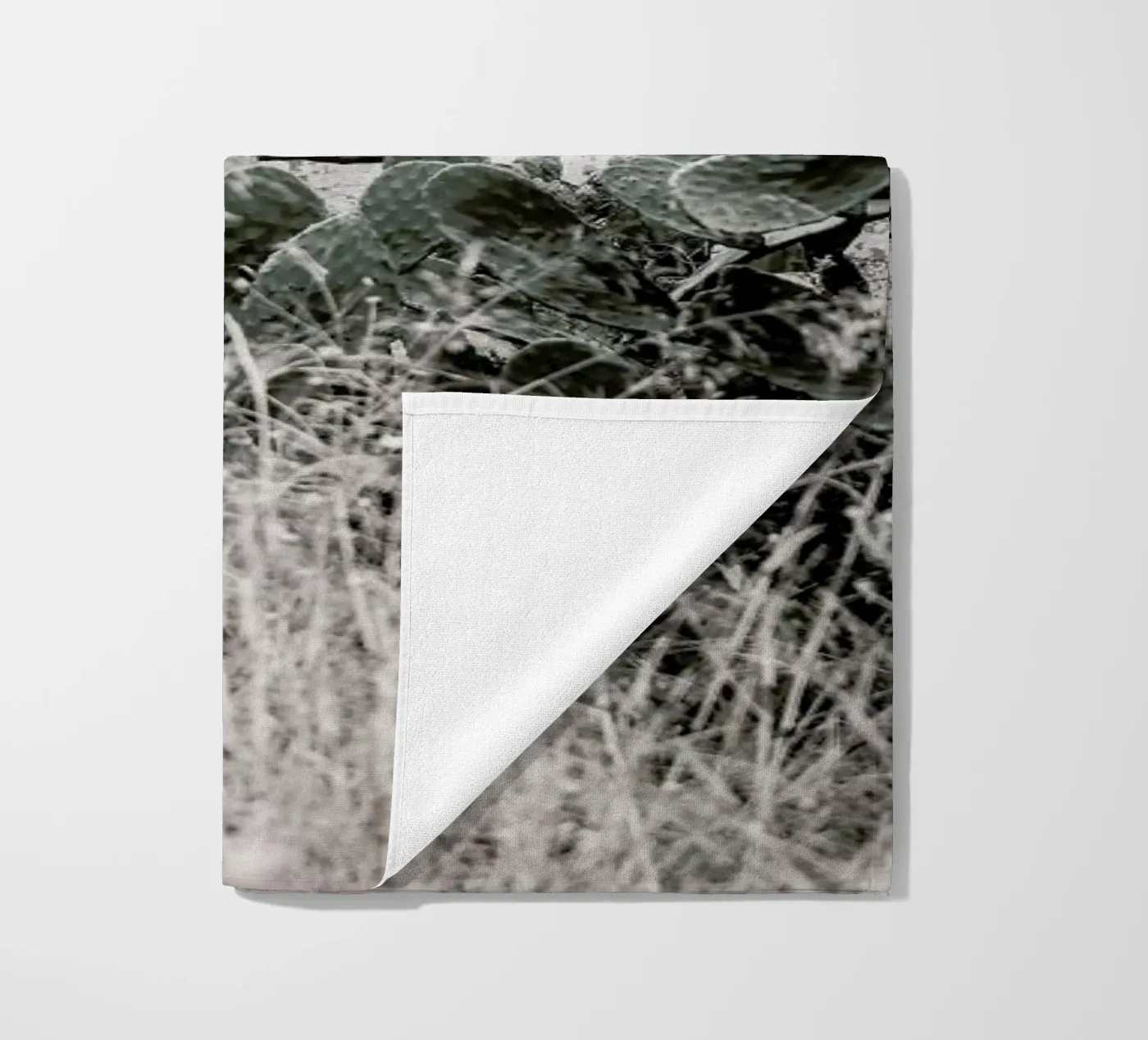 Nature Rules telo mare da Shot By Clint