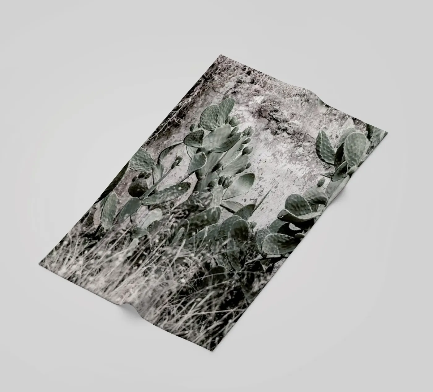 Nature Rules telo mare da Shot By Clint