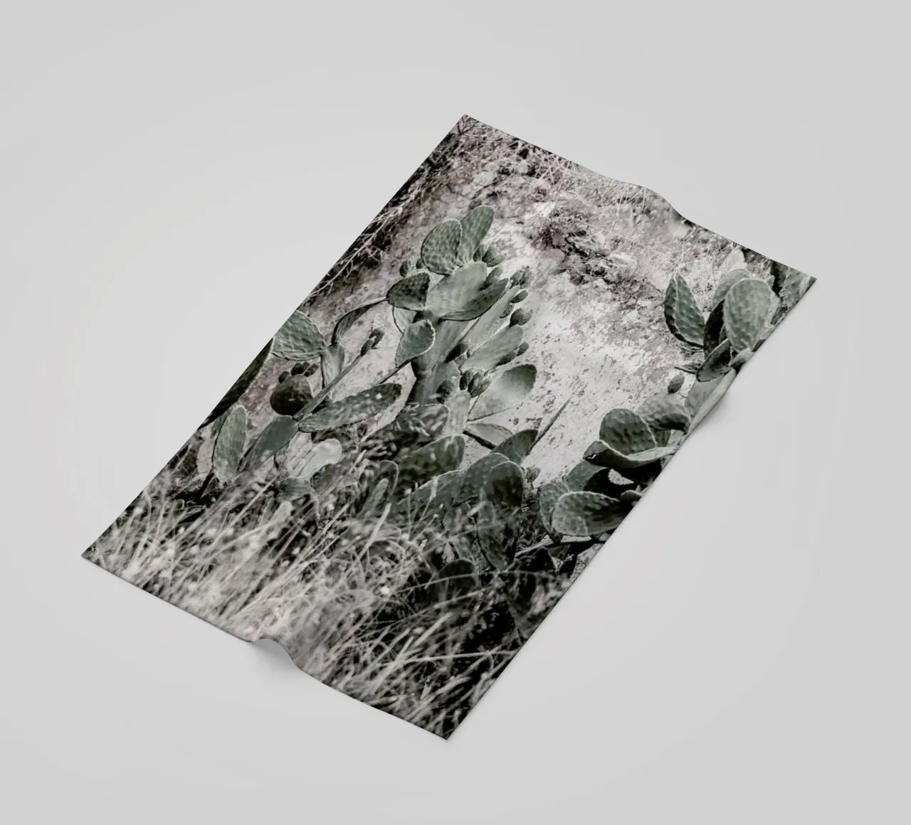 Nature Rules telo mare da Shot By Clint