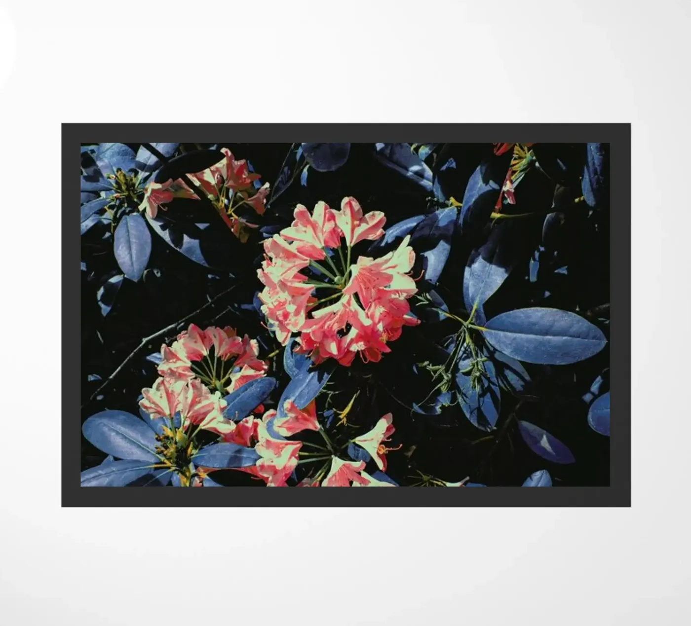 Chroma II doormat by Pale Grain