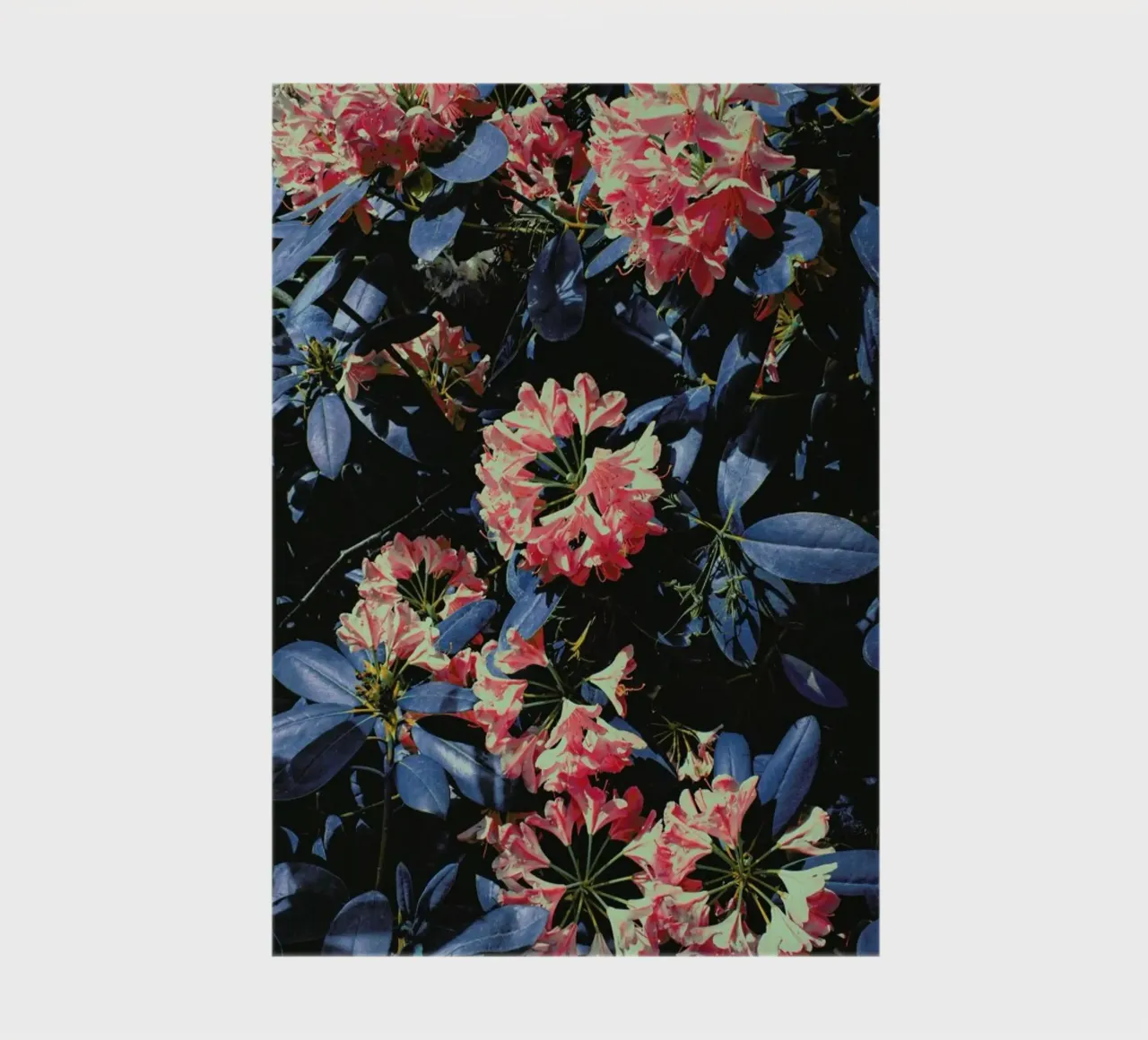 Chroma II notebook by Pale Grain