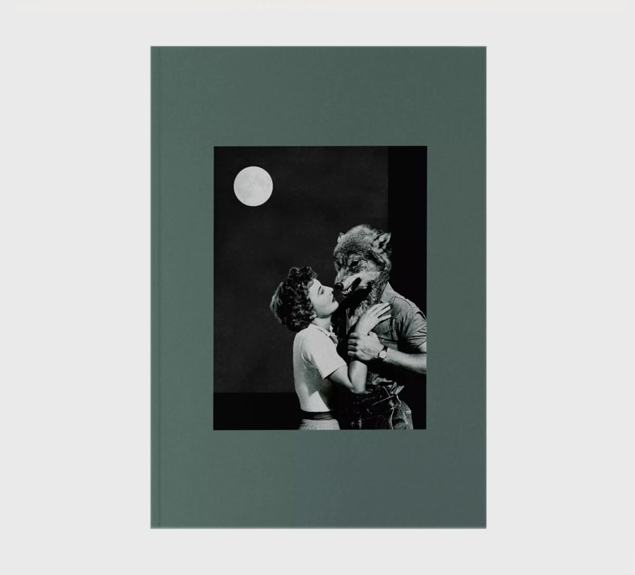 You Dont Look the Same as When I Was Dreaming carnet de notes de Maarten Léon