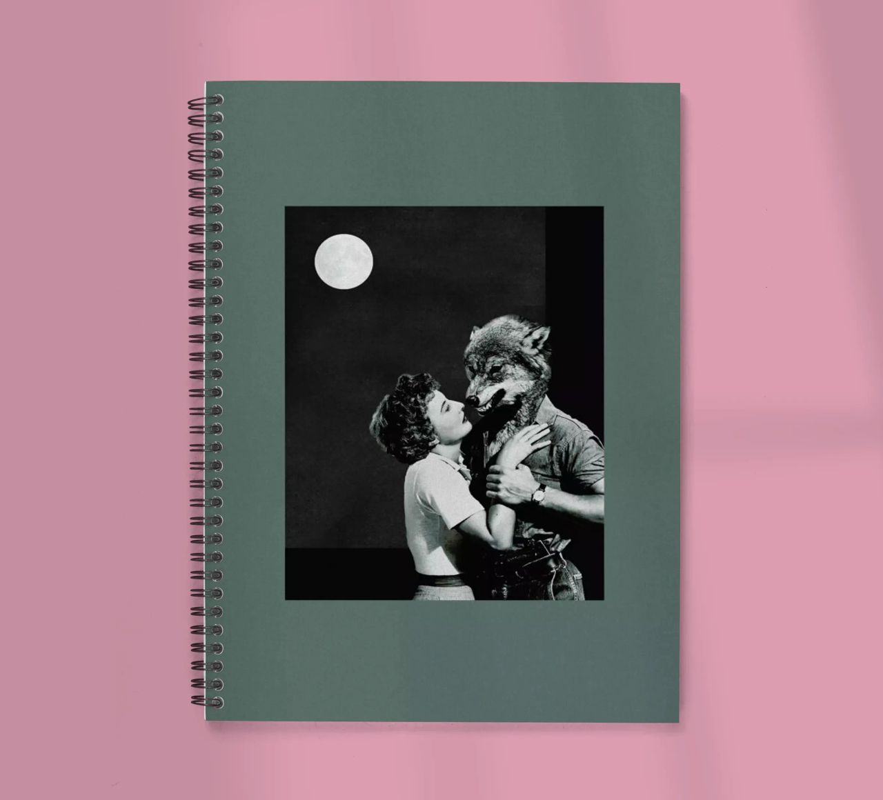 You Dont Look the Same as When I Was Dreaming Ringbuch von Maarten Léon
