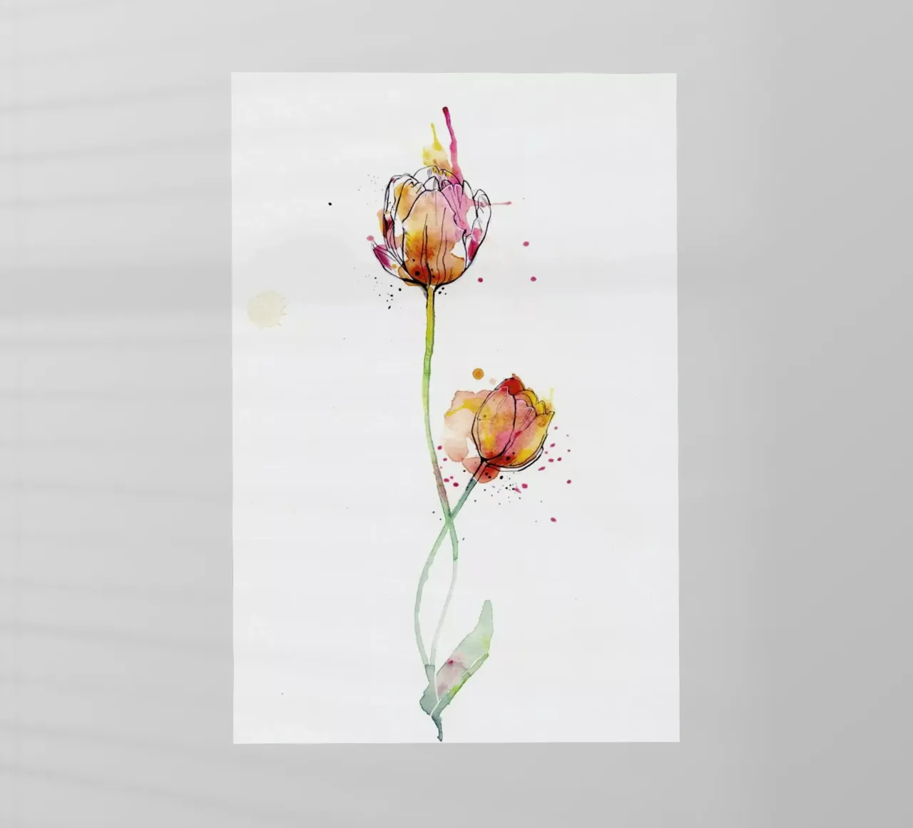 Tulip pellicola backlit da agnes-cecile