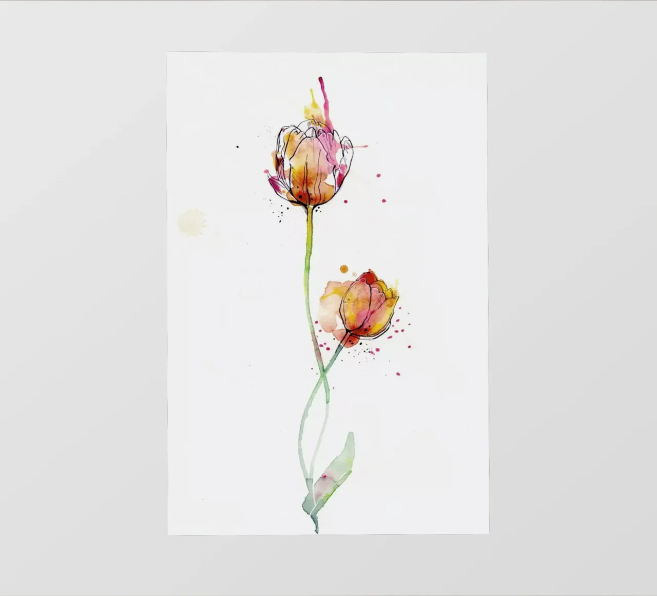 Tulip pellicola backlit da agnes-cecile