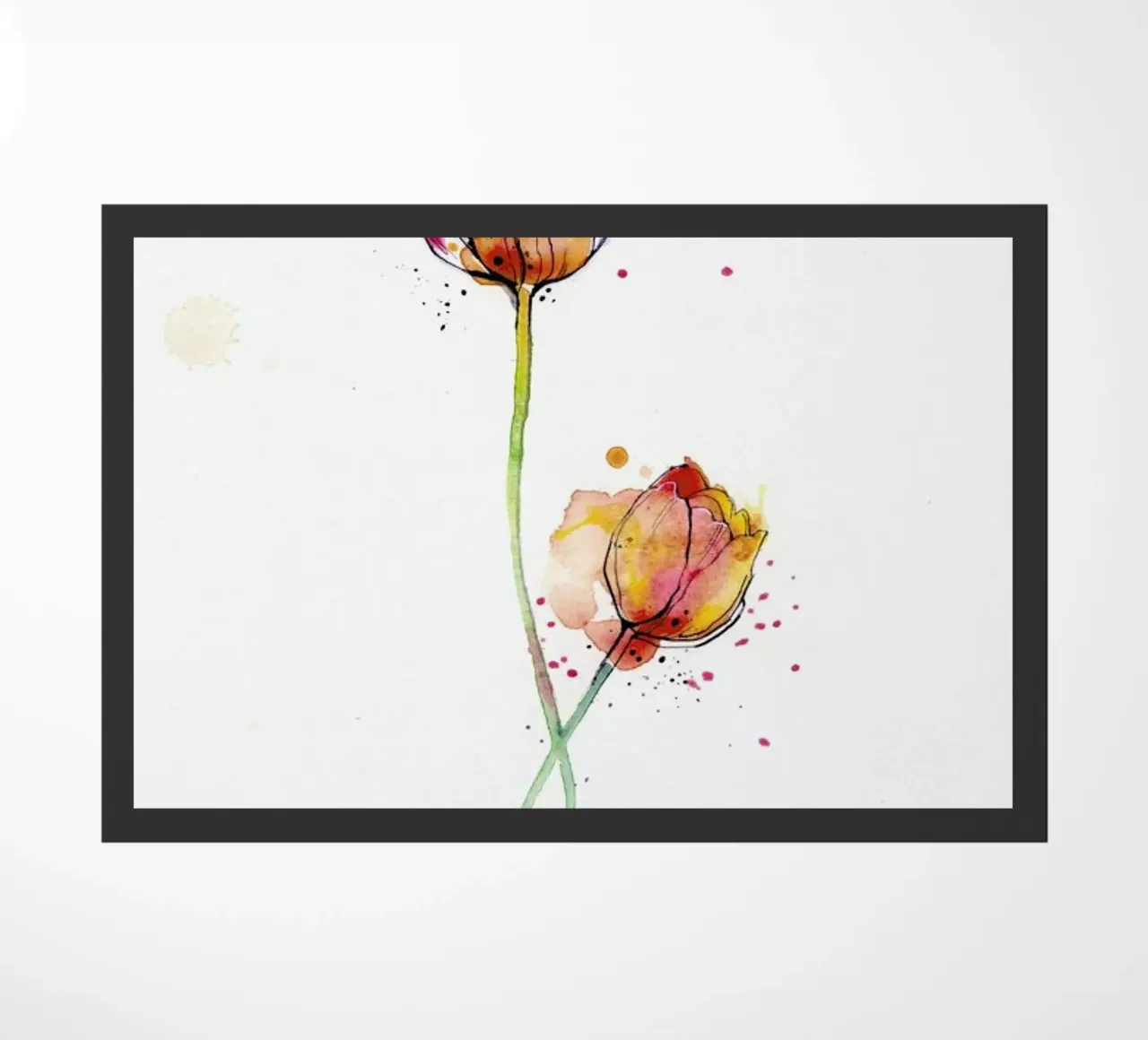 Tulip zerbino da agnes-cecile