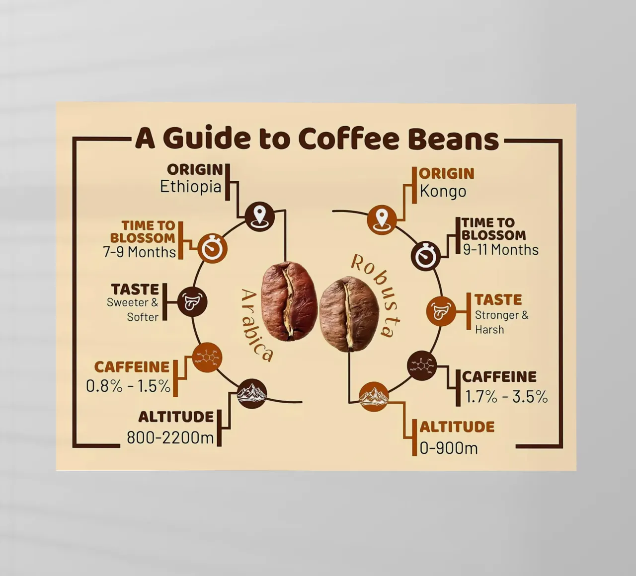 Caffettiera Breve pellicola backlit da Eames