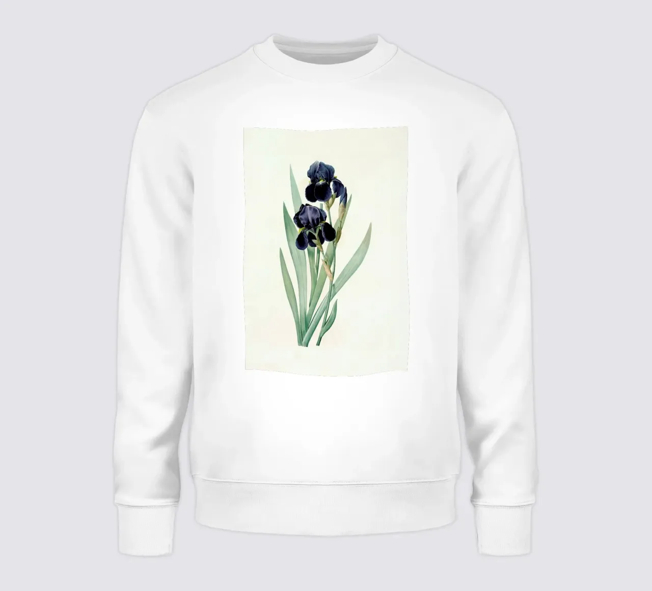 Iris germanica, German flag, -Pierre Joseph sweatshirt by Artokoloro Quint Lox Ltd