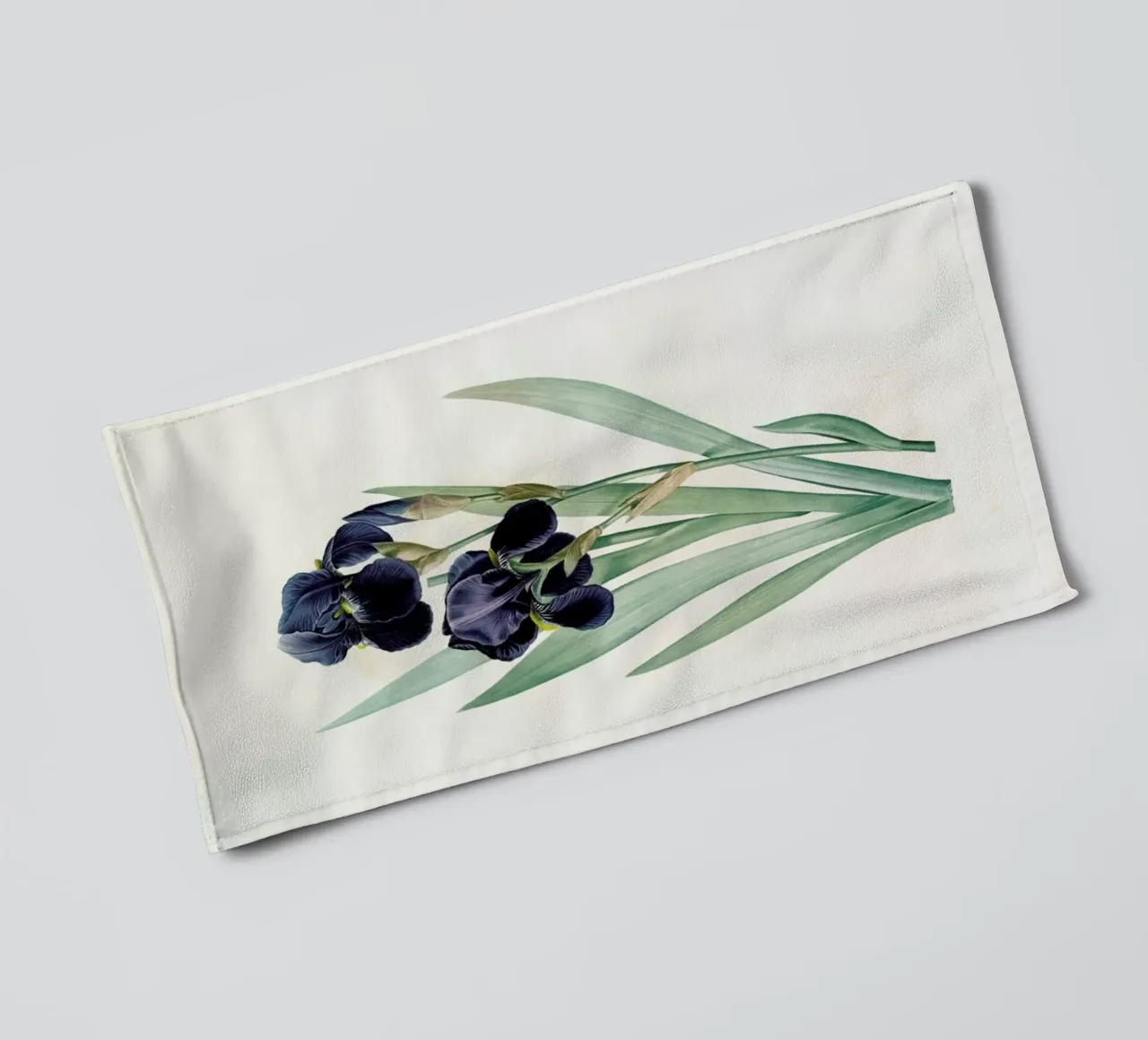 Iris germanica, German flag, -Pierre Joseph towel by Artokoloro Quint Lox Ltd