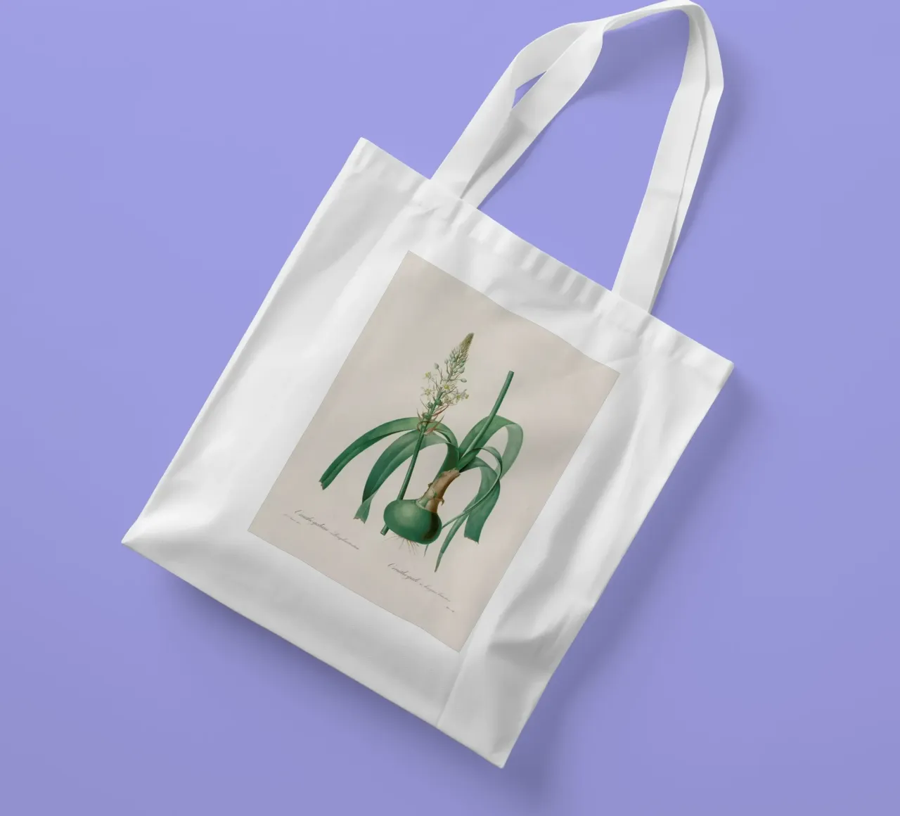 Ornithogalum Longibracteatum, 1802-1816 -Henry Joseph Redouté borsa in juta da Artokoloro Quint Lox Ltd