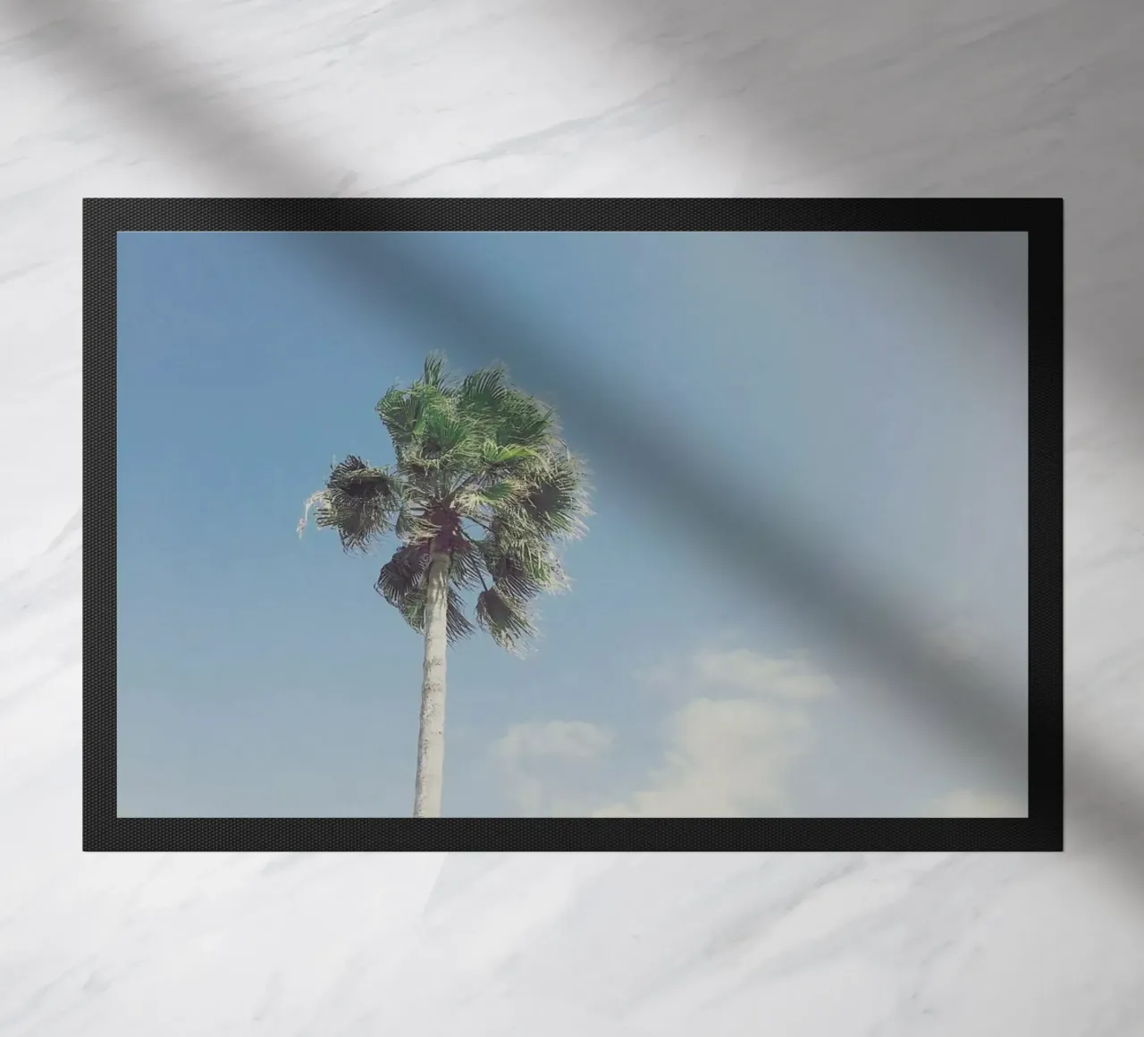 Lone Palm zerbino da Cassia Beck Photography