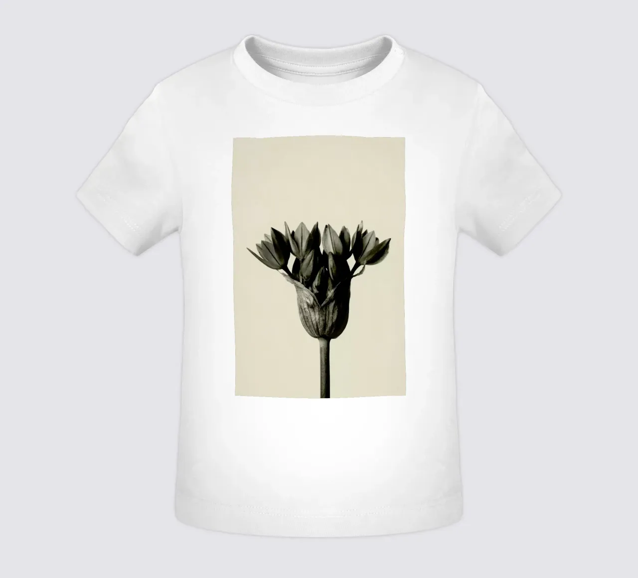 Allium Ostrowskianum, Knoblauchpflanze - Karl Blossfeldt maglietta neonato da Artokoloro Quint Lox Ltd