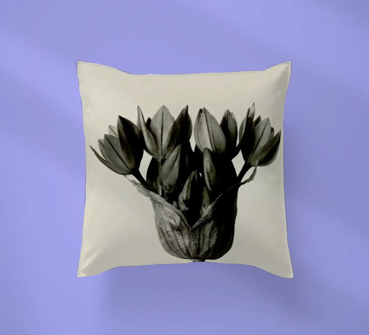 Allium Ostrowskianum, Knoblauchpflanze - Karl Blossfeldt cuscino da Artokoloro Quint Lox Ltd