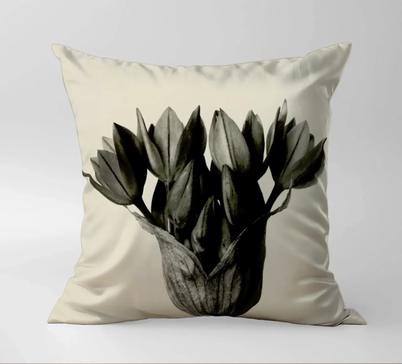 Allium Ostrowskianum, Knoblauchpflanze - Karl Blossfeldt cuscino da Artokoloro Quint Lox Ltd