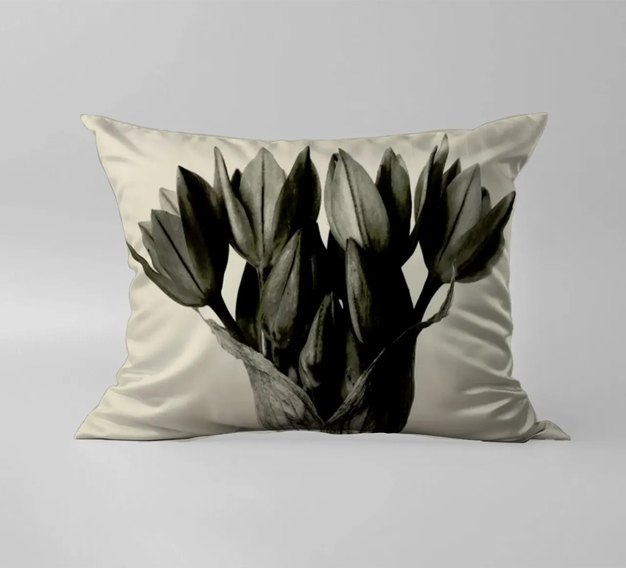 Allium Ostrowskianum, Knoblauchpflanze - Karl Blossfeldt cuscino da Artokoloro Quint Lox Ltd