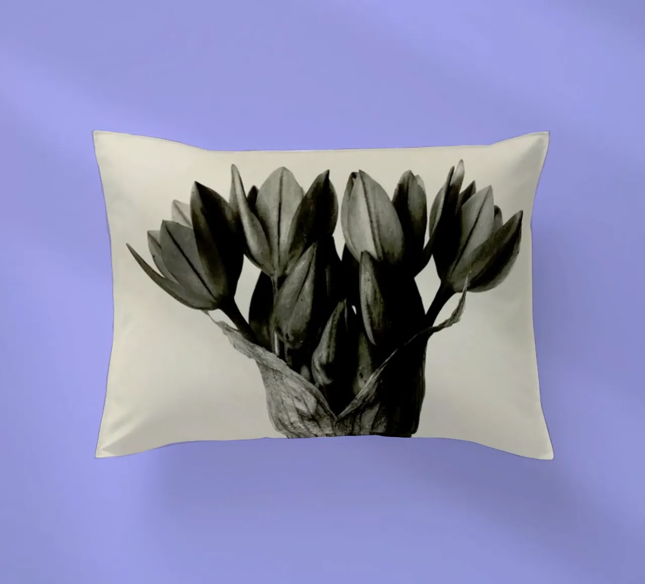 Allium Ostrowskianum, Knoblauchpflanze - Karl Blossfeldt cuscino da Artokoloro Quint Lox Ltd