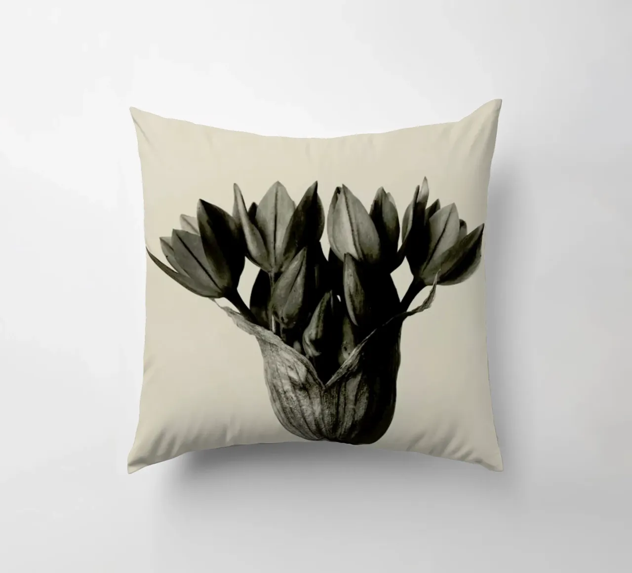 Allium Ostrowskianum, Knoblauchpflanze - Karl Blossfeldt cuscino da Artokoloro Quint Lox Ltd