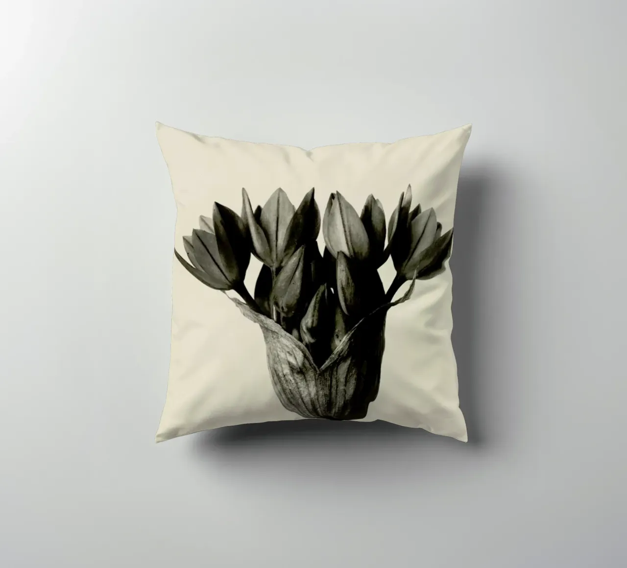 Allium Ostrowskianum, Knoblauchpflanze - Karl Blossfeldt cuscino da Artokoloro Quint Lox Ltd