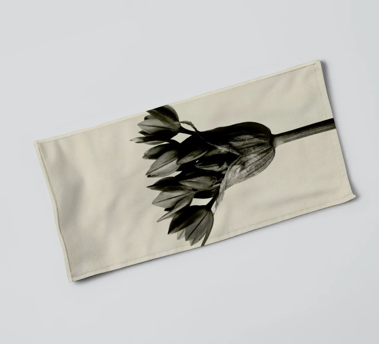 Allium Ostrowskianum, Knoblauchpflanze - Karl Blossfeldt asciugamano da bagno da Artokoloro Quint Lox Ltd