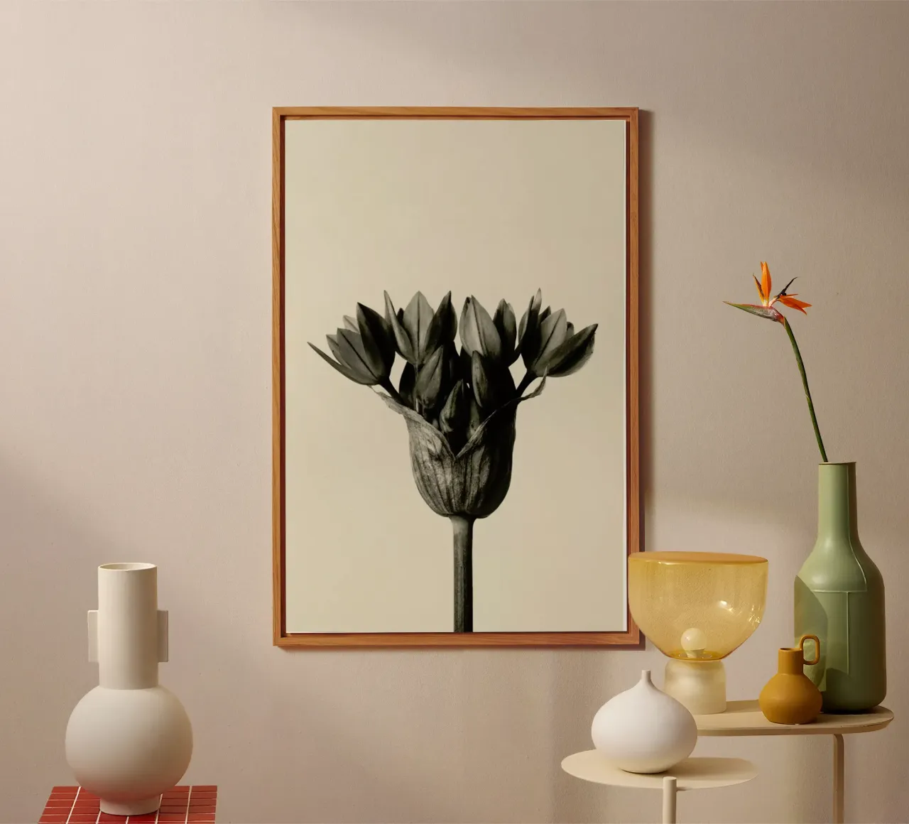 Allium Ostrowskianum, Knoblauchpflanze - Karl Blossfeldt alluminio dibond da Artokoloro Quint Lox Ltd