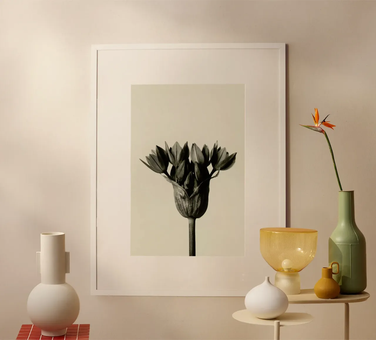 Allium Ostrowskianum, Knoblauchpflanze - Karl Blossfeldt carta hahnemühle da Artokoloro Quint Lox Ltd
