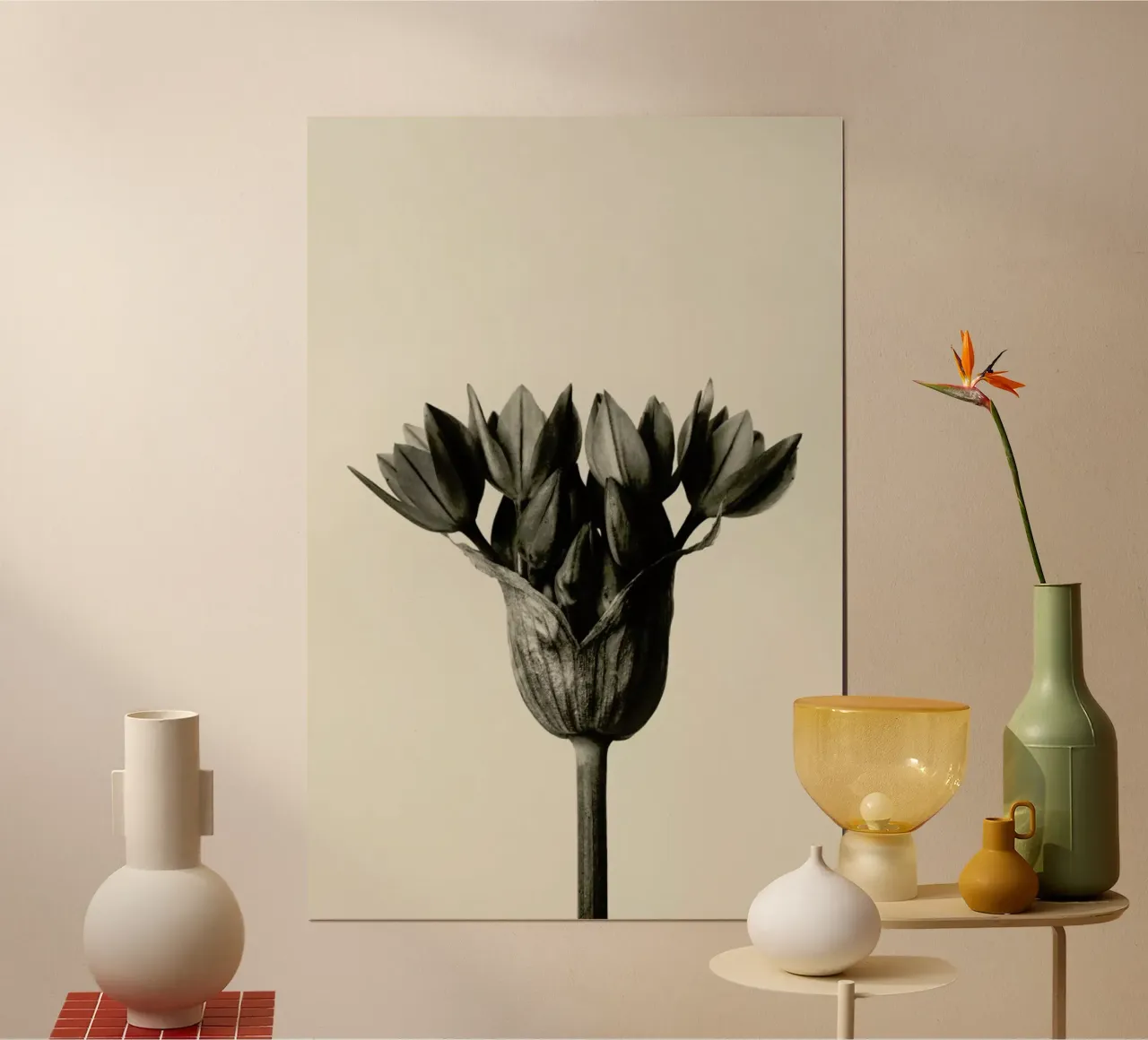 Allium Ostrowskianum, Knoblauchpflanze - Karl Blossfeldt carta hahnemühle da Artokoloro Quint Lox Ltd