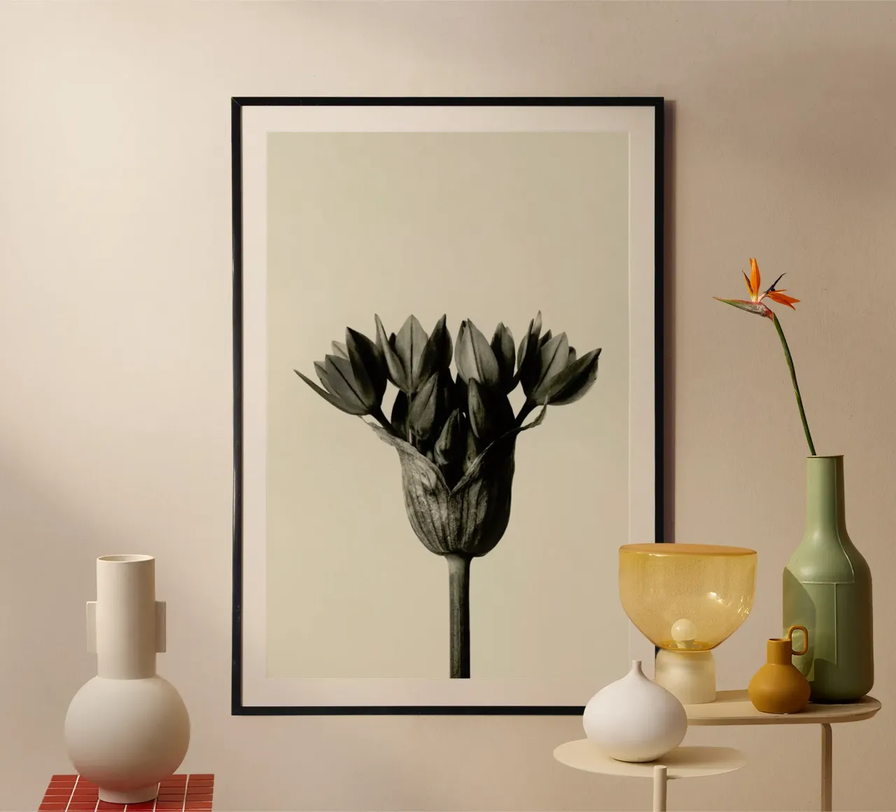 Allium Ostrowskianum, Knoblauchpflanze - Karl Blossfeldt carta hahnemühle da Artokoloro Quint Lox Ltd