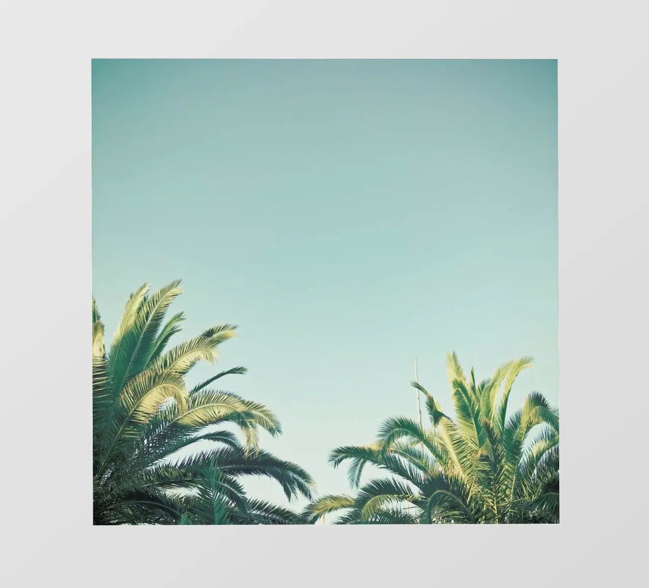 Ora legale telo in pvc da Cassia Beck Photography