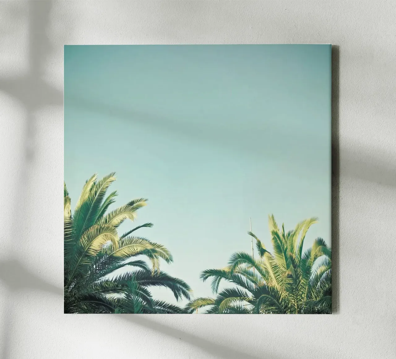 Summer Time canvas with Floater frame by Cassia Beck Photography
