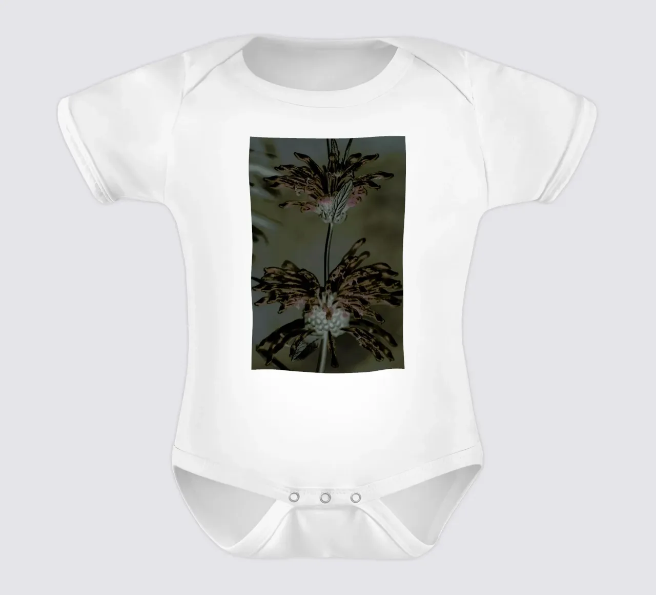 Wild Dagga body neonato maniche corte da Shot By Clint