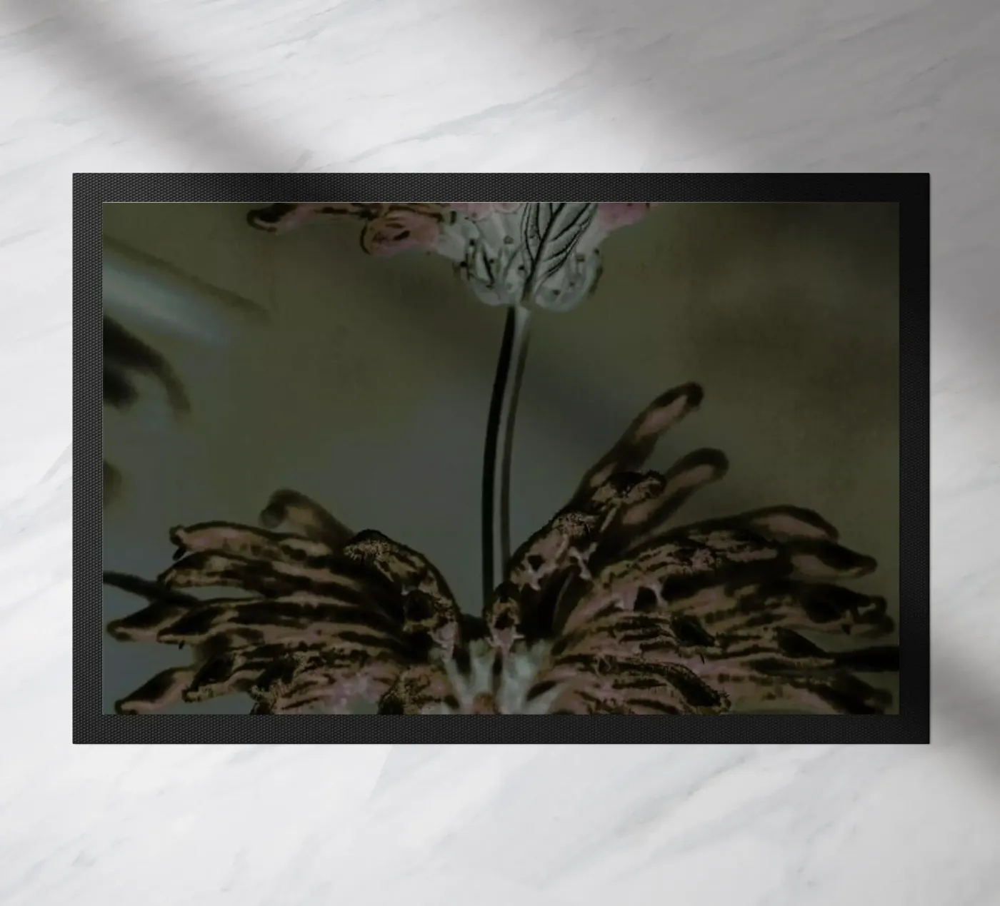 Wild Dagga zerbino da Shot By Clint