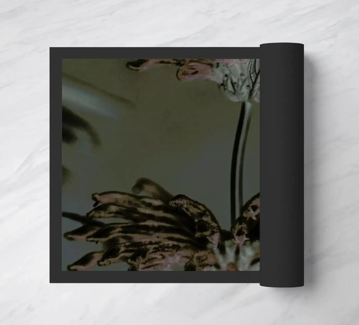 Wild Dagga zerbino da Shot By Clint