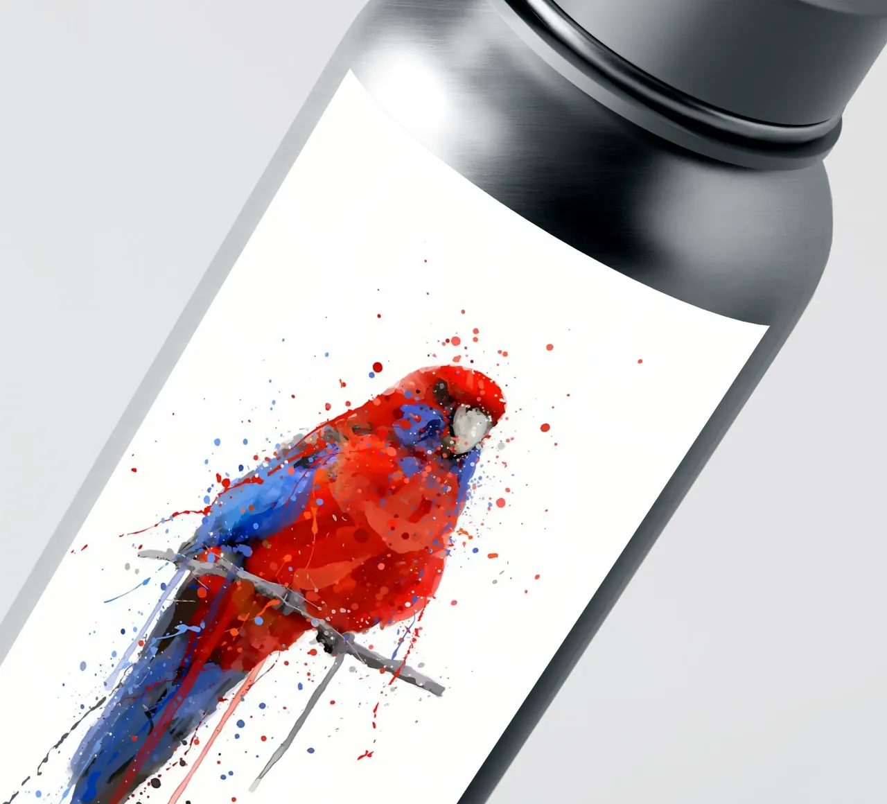 Parrot Rosella sticker by Allaire