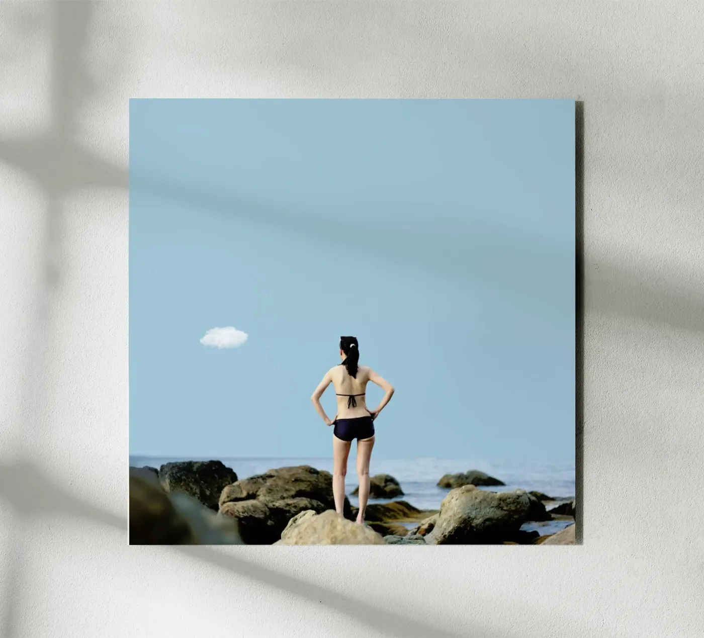 Elle pannello forex da Rafael Burato