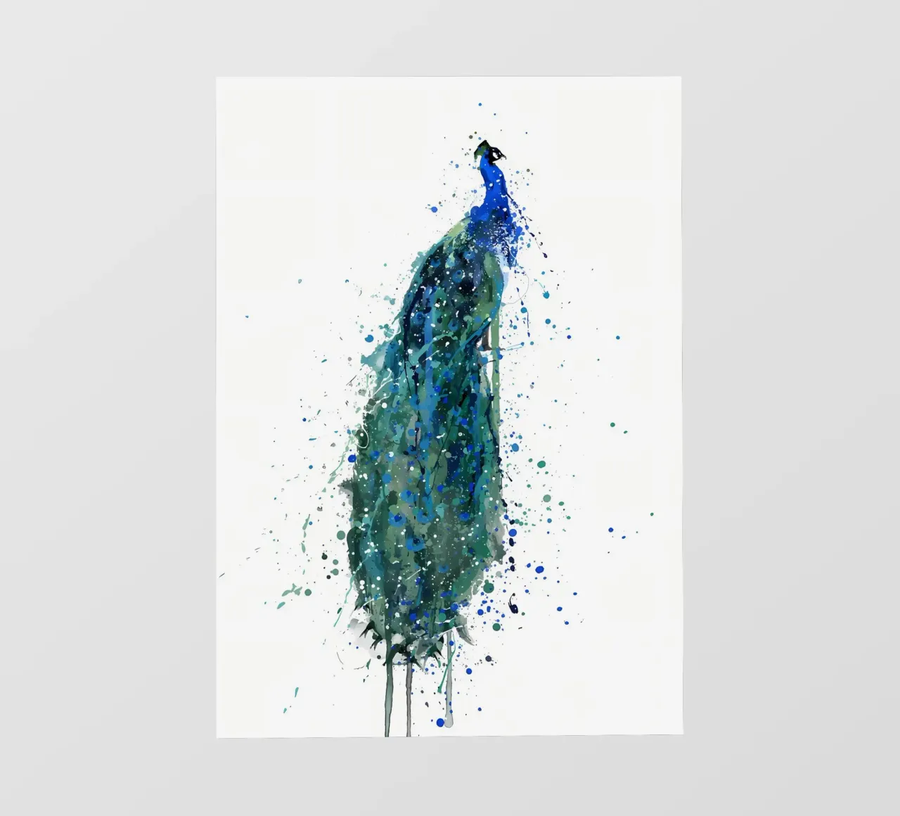 Peacock photo wallpaper by Allaire