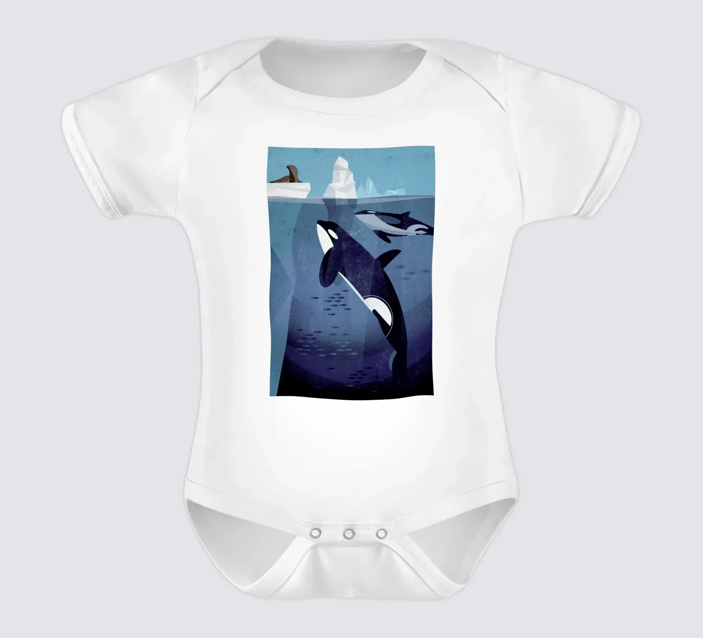 Orca body bébé de Dieter Braun
