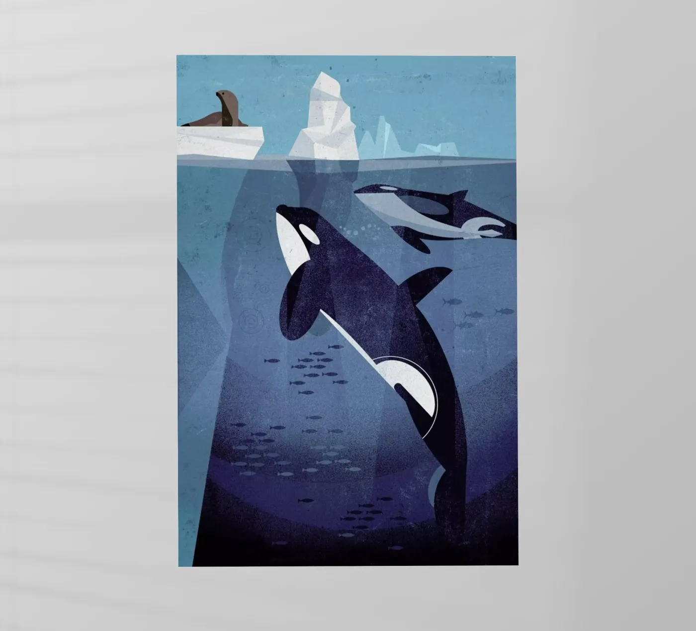 Orca pellicola backlit da Dieter Braun