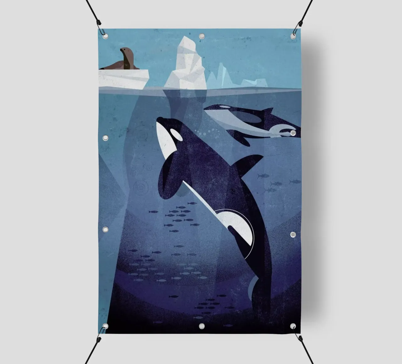 Orca telo in pvc da Dieter Braun