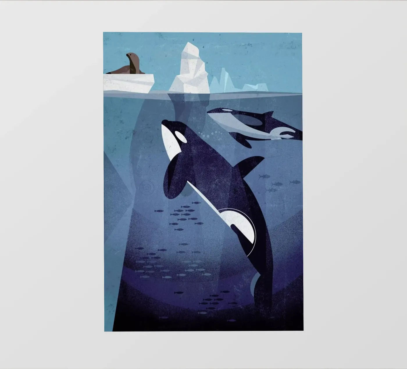 Orca pvc cover by Dieter Braun