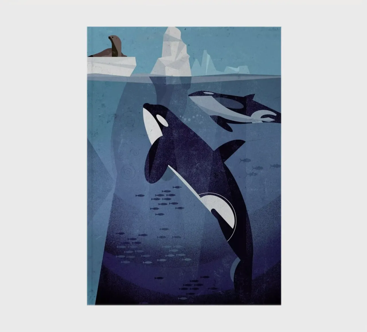 Orca notebook by Dieter Braun