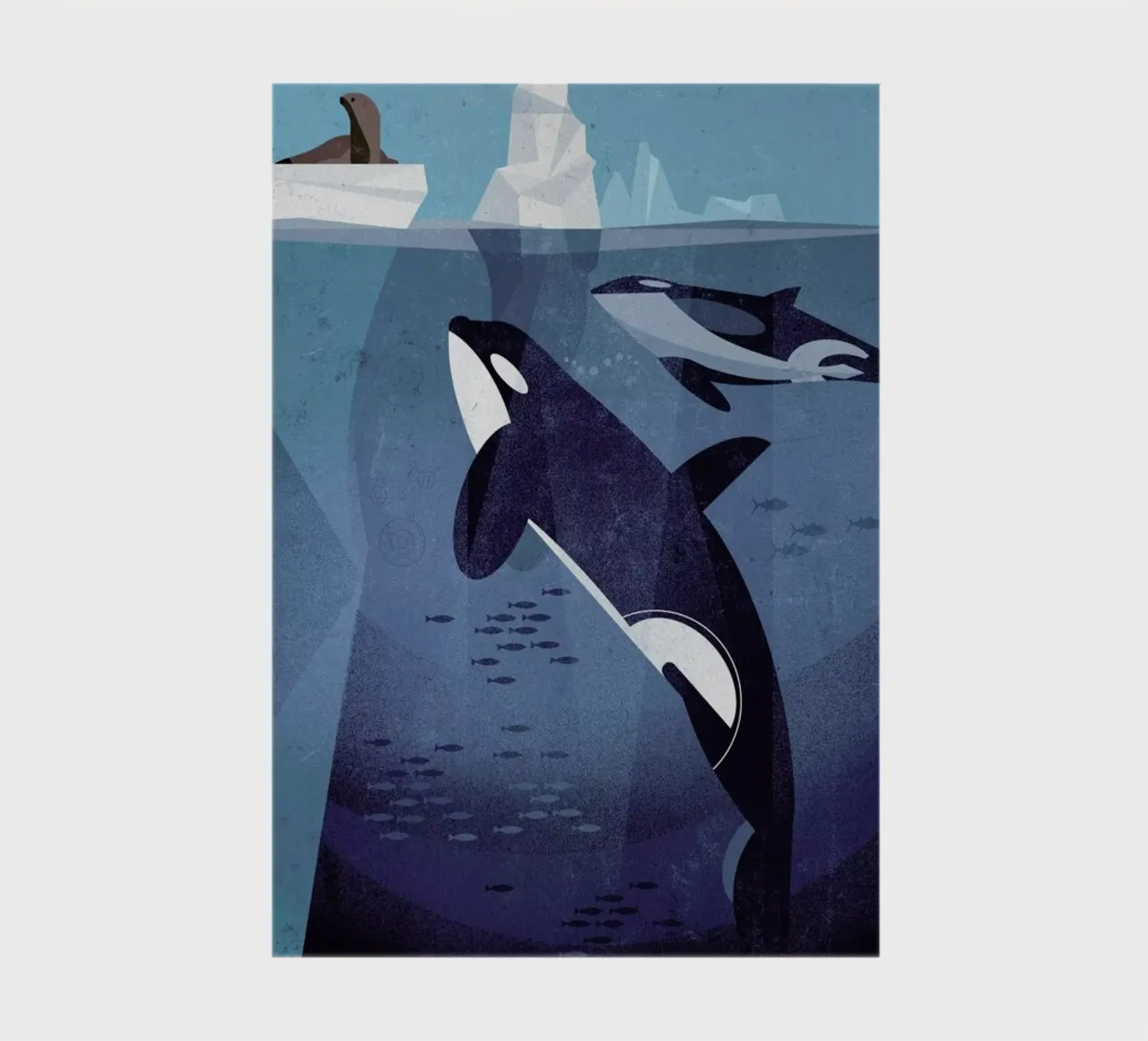 Orca notebook by Dieter Braun