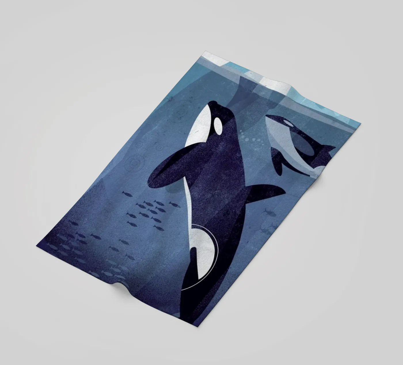 Orca telo mare da Dieter Braun