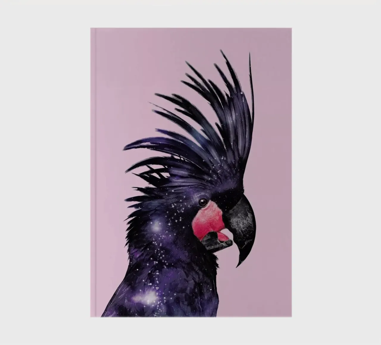 Galaxy Bird notebook by Jonas Loose