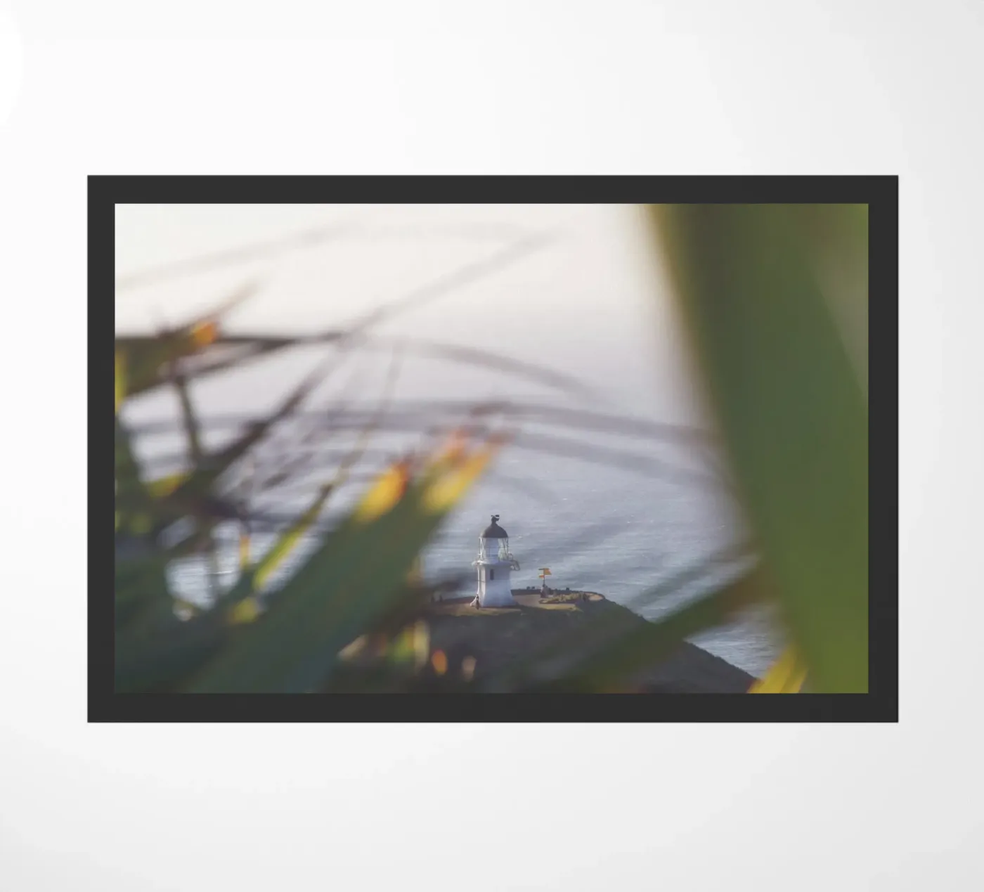 Cape Reinga zerbino da Nur Mut