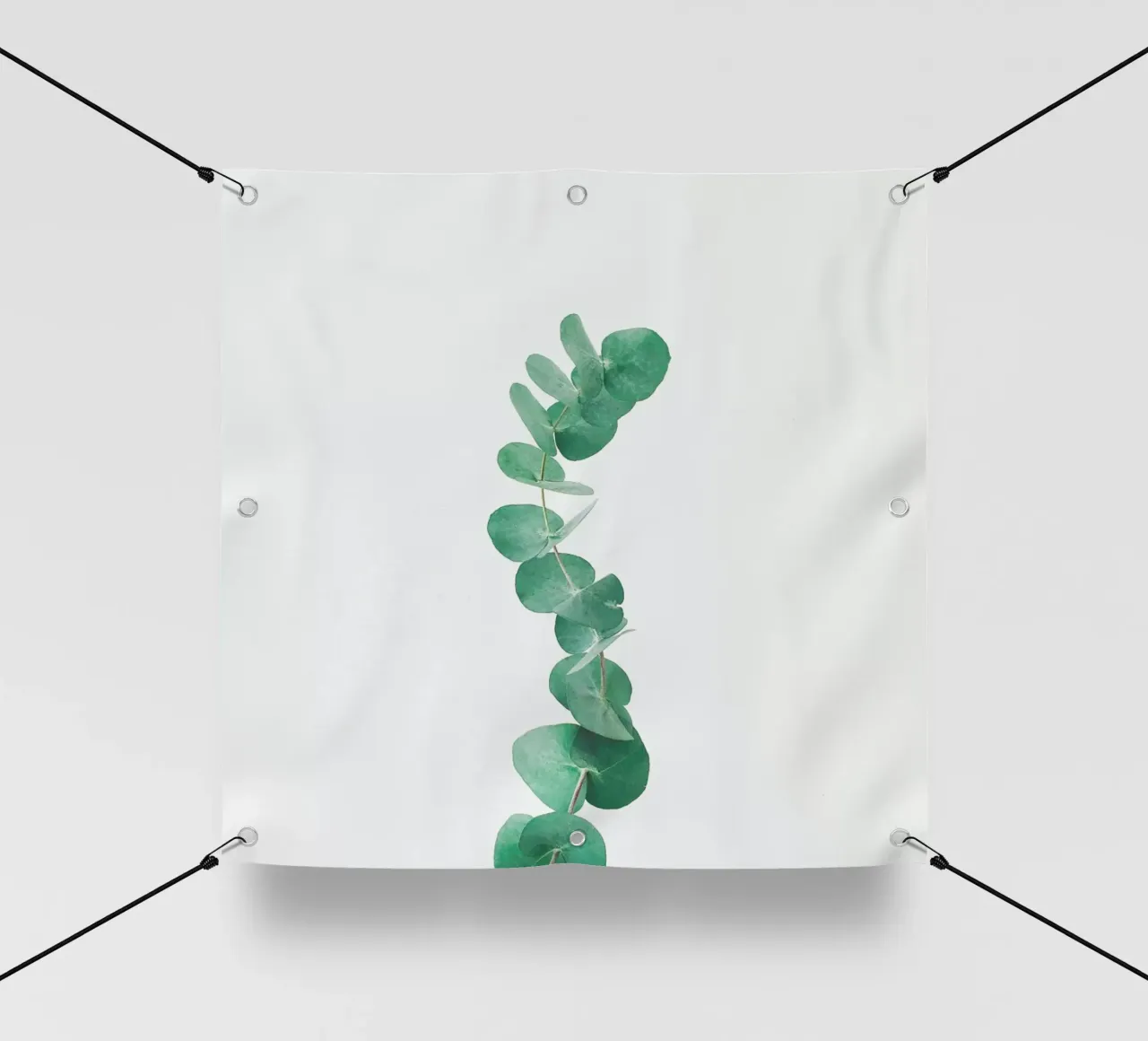 Eucalyptus III pvc cover by Cassia Beck Photography