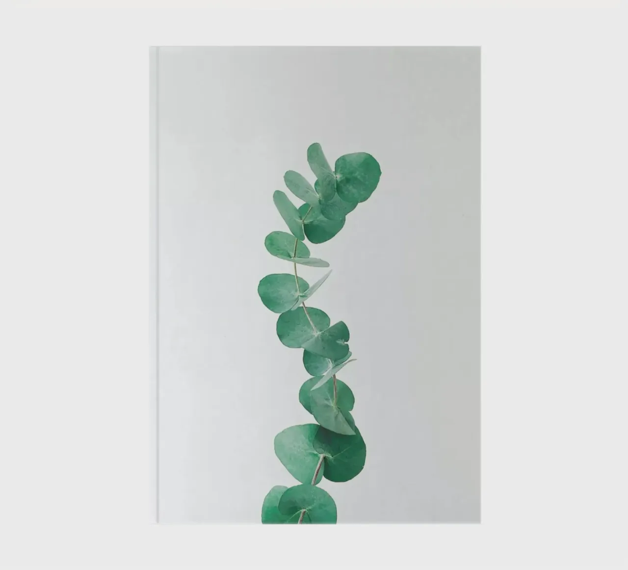 Eucalyptus III notebook by Cassia Beck Photography