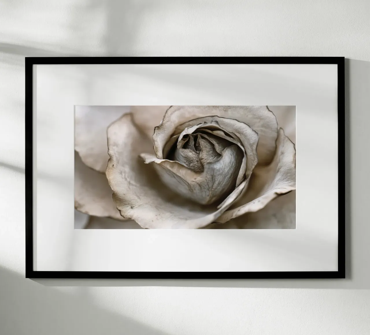 Gentle Flora No 08 poster con telaio in plastica da treechild